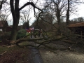 IMG-20150110-WA0011
