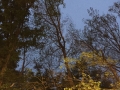 IMG-20150510-WA0008