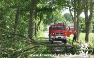 Am 29.11.2015 um 20:23 Uhr - Baum auf Fahrbahn