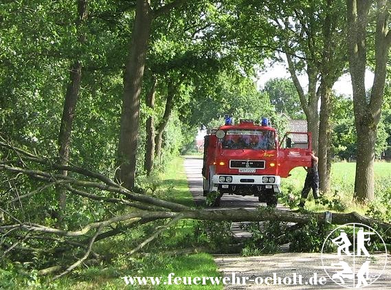 06.09.2013 um 21:08 Uhr – Ast auf Fahrbahn „Haisinger Weg“