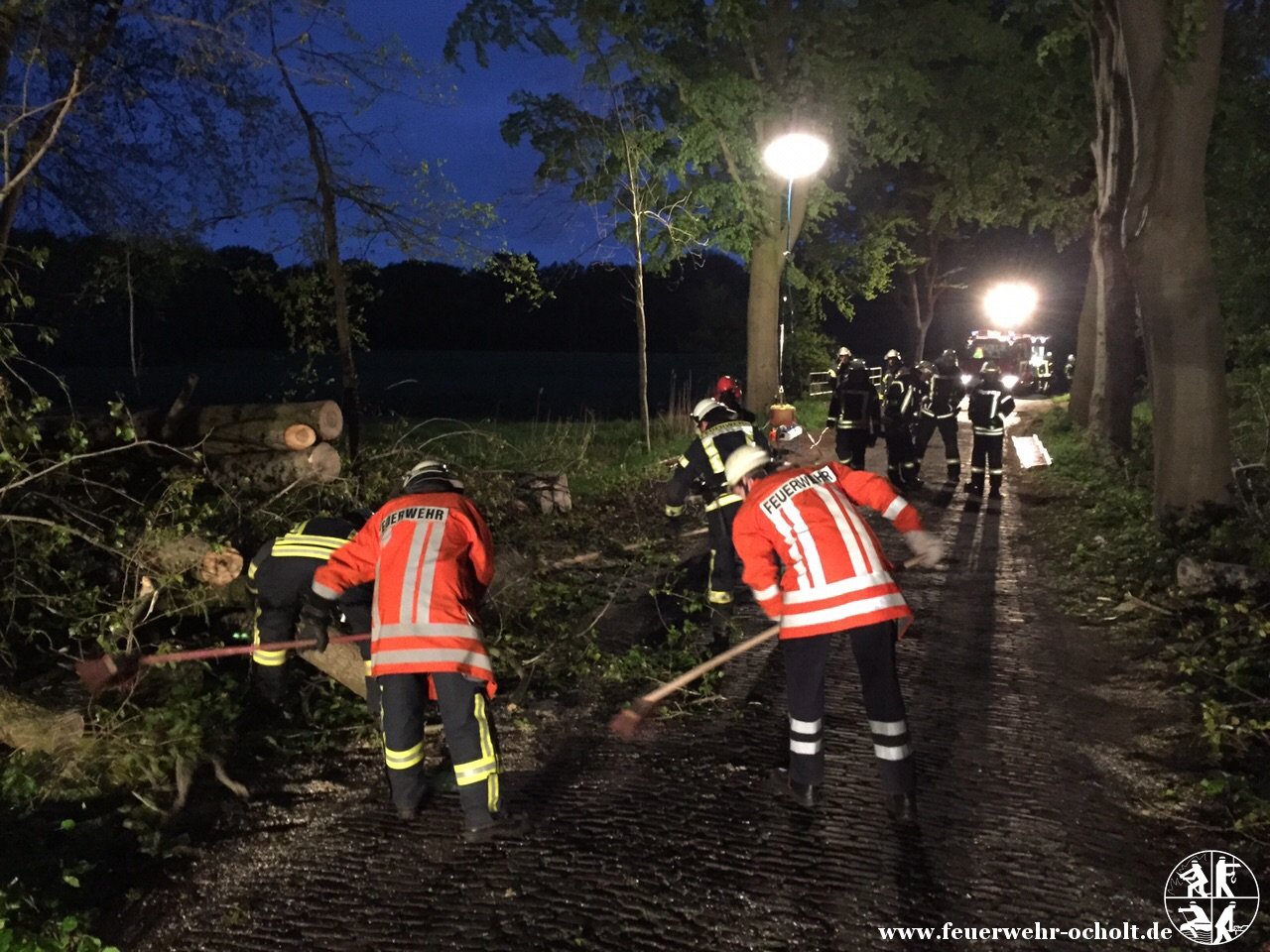 Am 10.05.2015 um 04:16 Uhr – Baum auf Fahrbahn