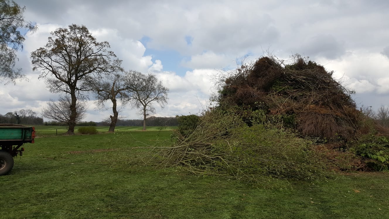 Sträucherfahren 2019